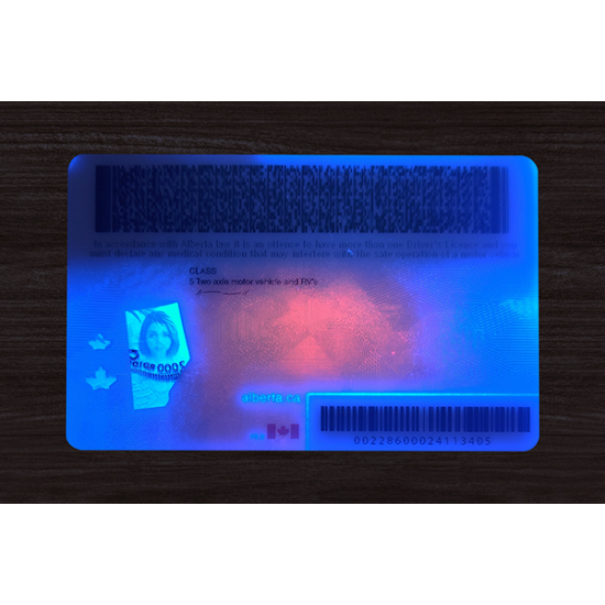 Alberta (Alta) Fake DL (2026 Version)